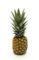 /products/pina-baby/